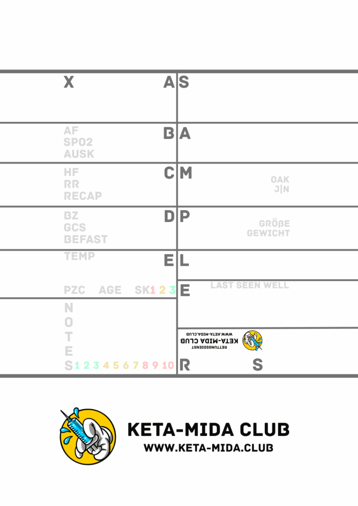 KMC Dokumentationshilfe "Rettungsdienst" 25 Blatt | 10er-Pack